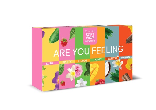 [Set48] Mini Shower Gift Box