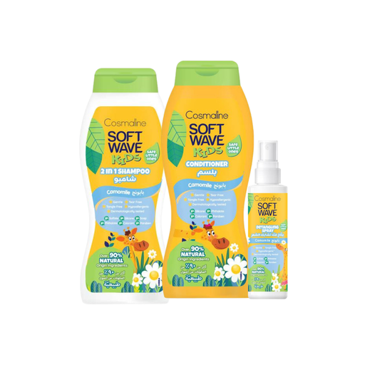 [BF120] Camomile Touch