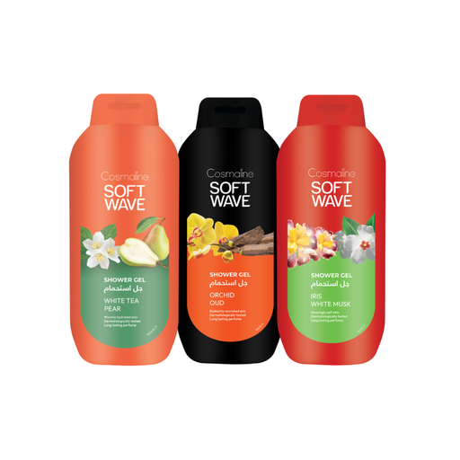 [BF150] Classic Harmony